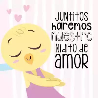 vectores plantilas SAN VALENTIN,AMOR,DUOS,COJINES,FESTEJO,FESTIVIDAD,